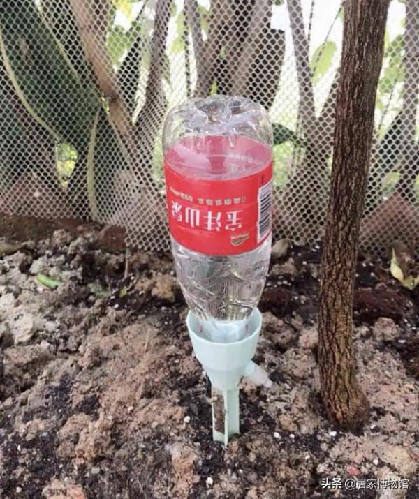 我先買為敬！這6種黑科技家居神器，價格不貴還超實用