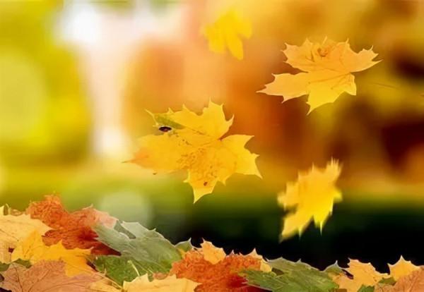 人生難得是閒適