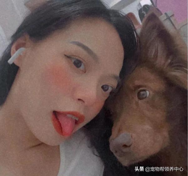 主人遛狗被警察攔截,警察:“這狗犯可愛罪,要拍照留底!” 主人遛狗被警察攔截,警察:“這狗犯可愛罪,要拍照留底!”