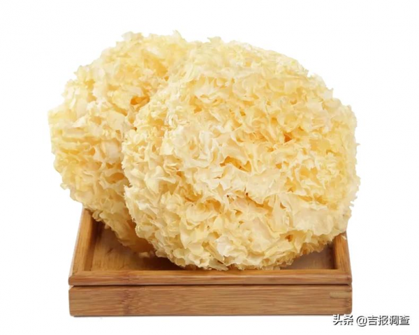 吃銀耳能補充膠原蛋白嗎?若有疑惑看這裡:中醫專家給出答案 吃銀耳能補充膠原蛋白嗎?若有疑惑看這裡:中醫專家給出答案