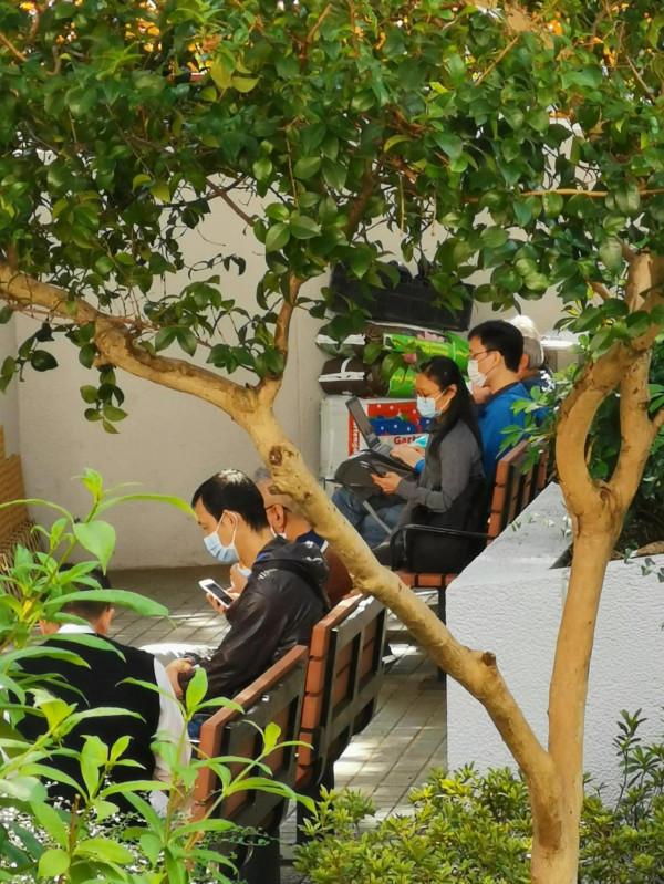 像當地人那樣，我在公園裡坐了半天