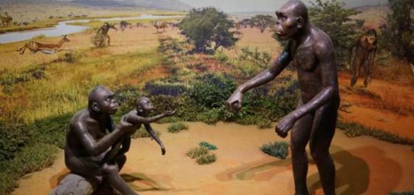 “蝨子”與我們共存千萬年,為何這幾年見不到了? “蝨子”與我們共存千萬年,為何這幾年見不到了?