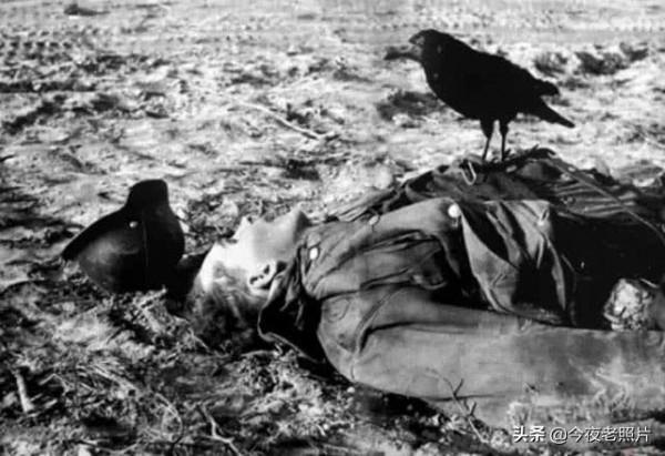 28張顛覆想象的老照片：落在德軍胸上的烏鴉，希特勒的純金城堡
