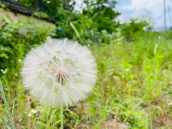 一個人，即將轉運的徵兆：摒棄這四心態