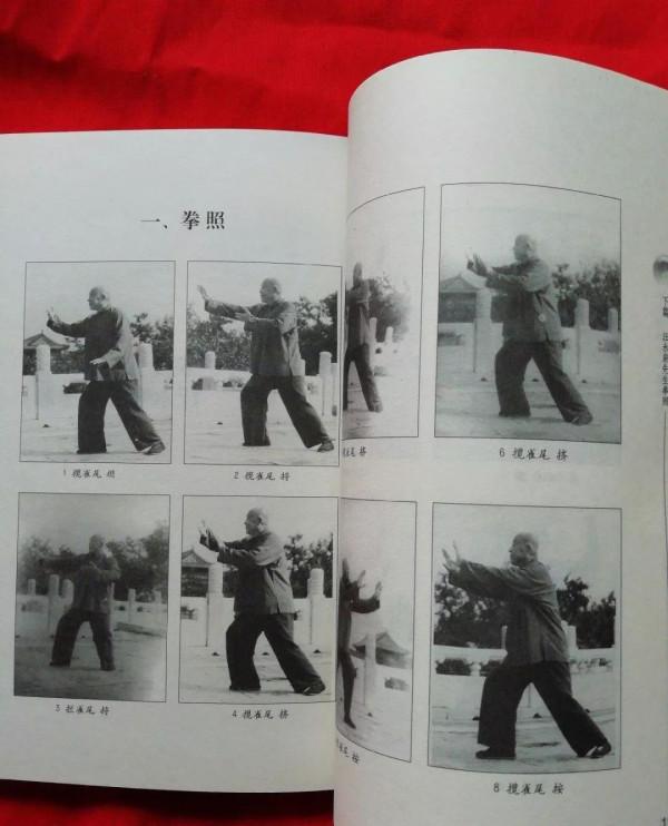 汪永泉揭秘：太極拳技擊與養生的區別