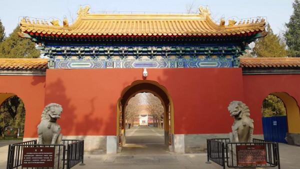 北京中山公園看水杉，來今雨軒吃冬菜包子
