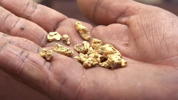 北美年輕小夥淘金，一天就挖1萬克黃金，相當於一輛勞斯萊斯幻影