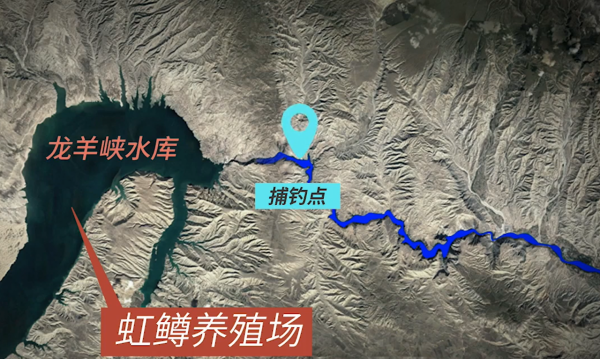 龍羊峽的隱憂:花30年養一條虹鱒,“漏網之魚”已侵入黃河? 龍羊峽的隱憂:花30年養一條虹鱒,“漏網之魚”已侵入黃河?