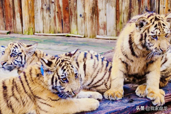 這個冬天，我們一起畢業