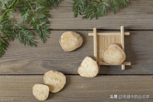 脂肪肝？送你七味中藥，清熱利溼，健脾祛痰