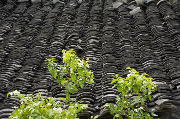 美景小記之上堡古國