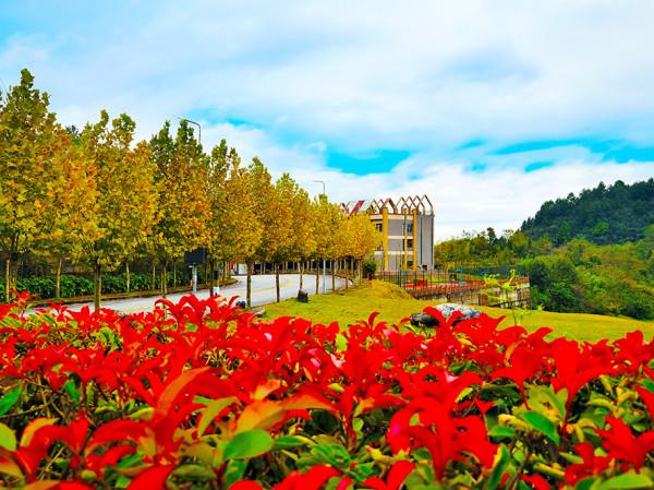 來萬盛“撩”最美的秋 來萬盛“撩”最美的秋