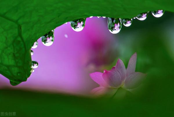 東方文學《觀雨賞荷，風乾露枝留殘香，誰人為此建暖房》