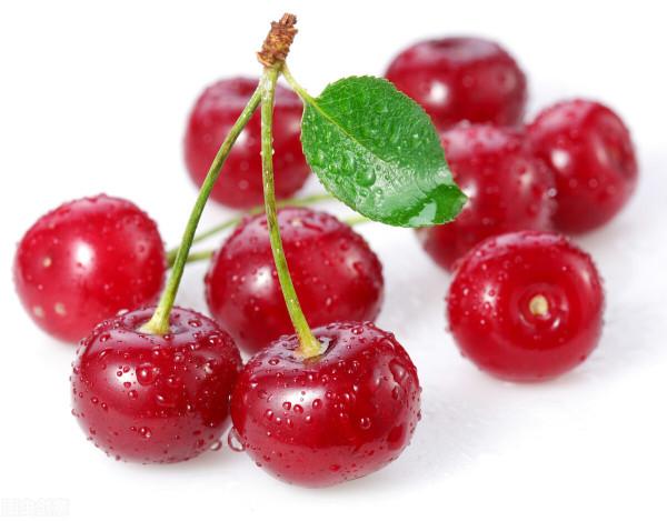 最經典的詩詞530首,掌握這些詩詞對寫詩和鑑賞詩詞足夠了 最經典的詩詞530首,掌握這些詩詞對寫詩和鑑賞詩詞足夠了