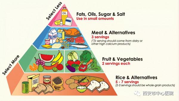 從各國/各地區膳食圖形建議解決靈魂拷問“今天吃什麼?” 從各國/各地區膳食圖形建議解決靈魂拷問“今天吃什麼?”