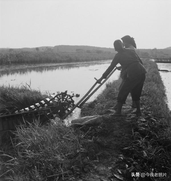21張罕見的老照片令人大開眼界