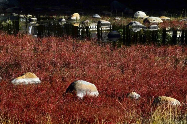 國內夏秋風光美景