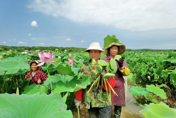 抓牢鄉村振興關鍵點