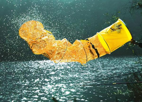 提前下魚護導致漁獲慘淡之謎,被漁具店老闆詮釋了,分享給大家 提前下魚護導致漁獲慘淡之謎,被漁具店老闆詮釋了,分享給大家