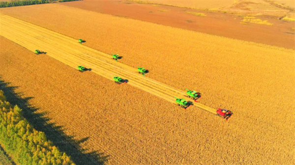 2021中國經濟資料你看懂了嗎？國家統計局10位司局長獨家解讀