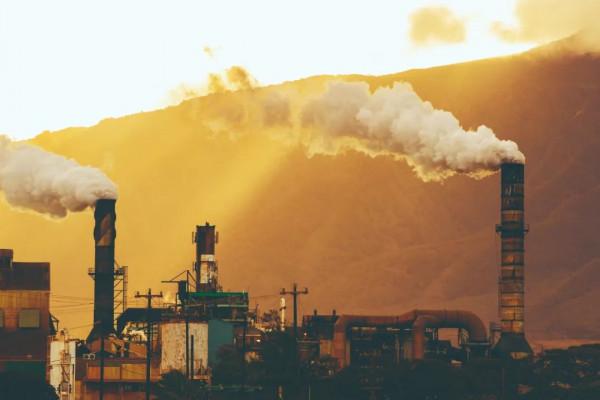 世界上最毒的物質是什麼？我們常見的飲食中有沒有？