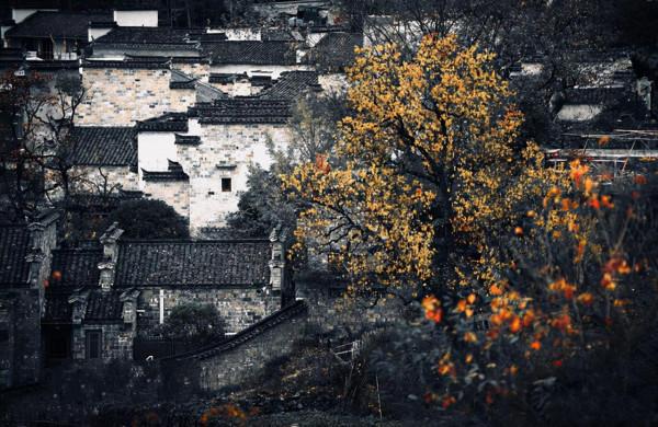 8條適合秋天的短途自駕路線，10-11月出發正當時，您去過幾條？