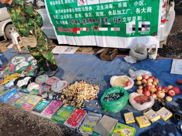 東北大集都有點啥，快跟我一起逛逛