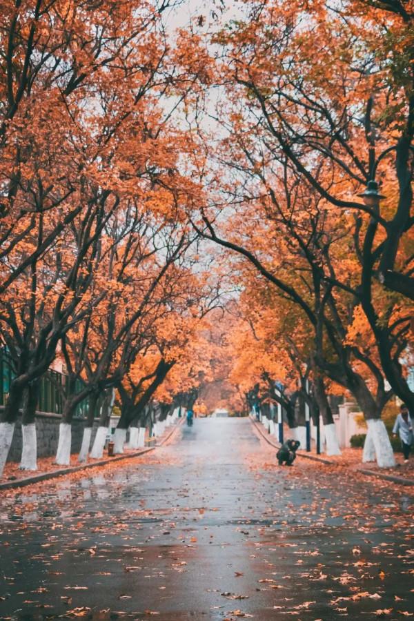 中國最美的50個地方,我竟然只去過10個,你呢? 中國最美的50個地方,我竟然只去過10個,你呢?