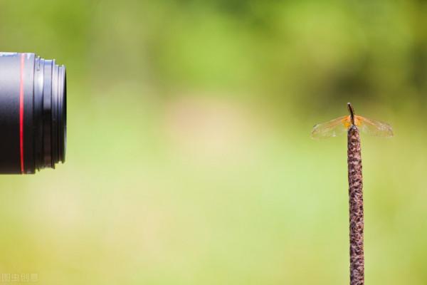 一個人最大的本事是：能忍