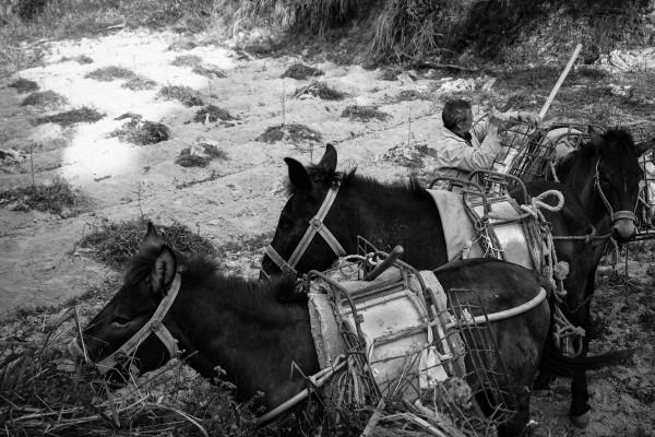 紅軍團長下鄉務農8年,直到主席派人將其接走,村民才知真面目 紅軍團長下鄉務農8年,直到主席派人將其接走,村民才知真面目