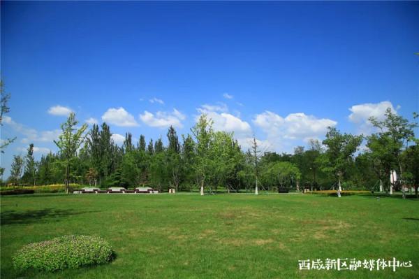 這裡，是西鹹新區！