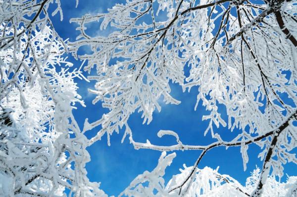 在家觀冬奧 聯想冰雪記憶