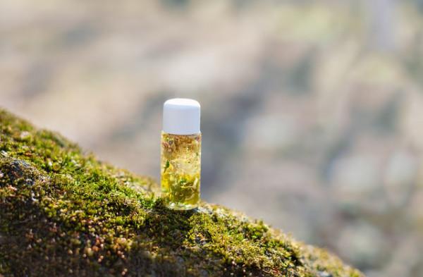 太陽系元年-火星紀元-起源