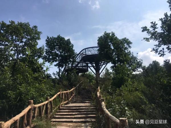 賞紅葉看秋景的好線路,秋天親子游攻略 賞紅葉看秋景的好線路,秋天親子游攻略