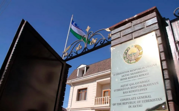 新開9個總領館，都在哪？