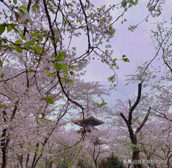 湖北省著名景點,部分景區免費,無需購票,你又去過幾處 湖北省著名景點,部分景區免費,無需購票,你又去過幾處