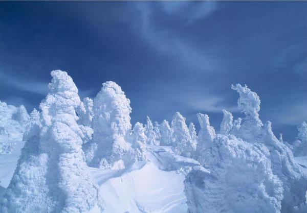 我們期待著北京冬奧會，共同參與