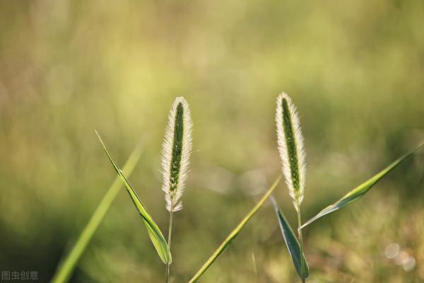 姨媽去世,兩個表妹成了沒媽的野草 姨媽去世,兩個表妹成了沒媽的野草