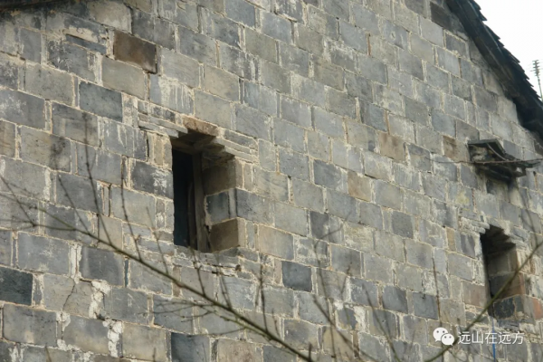 散文｜近&OpenCurlyDoubleQuote;年&rdquo;情更怯