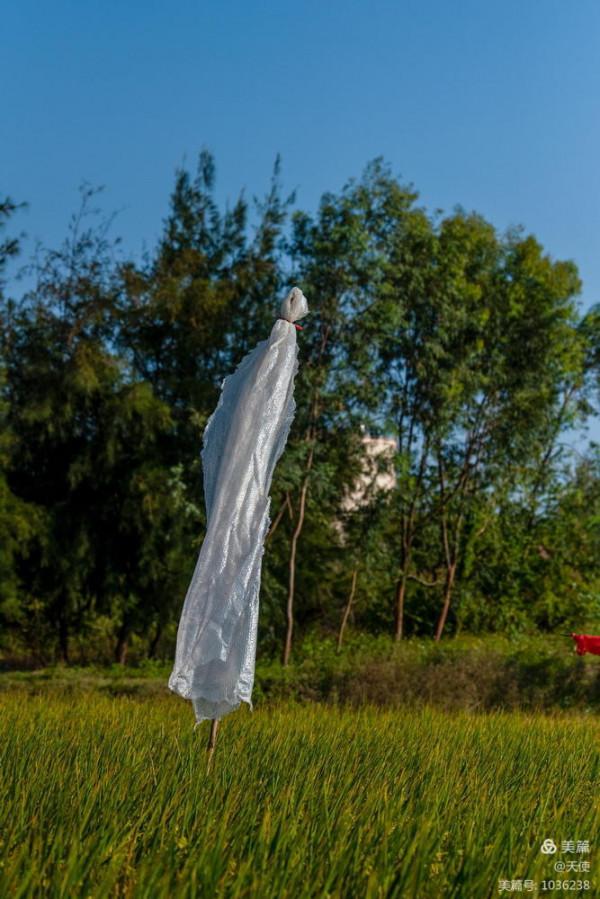 「視覺廣東」稻草人