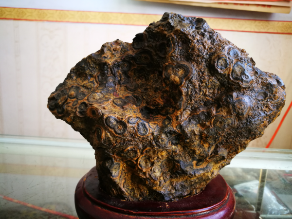 撿瑪瑙,來內蒙古火山草原,讓你撿得不想回家 撿瑪瑙,來內蒙古火山草原,讓你撿得不想回家