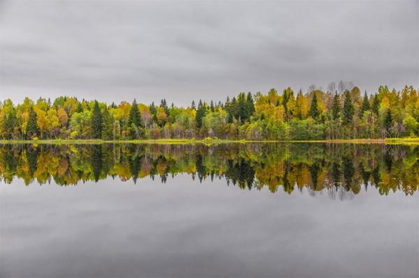 這湖太美了,我可以看一天 這湖太美了,我可以看一天