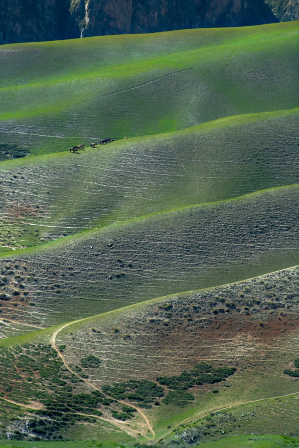 2021年，新疆非去不可，新疆怎麼玩，看完這一篇就夠了