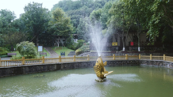 週末在這江南小城，吃得有億點撐