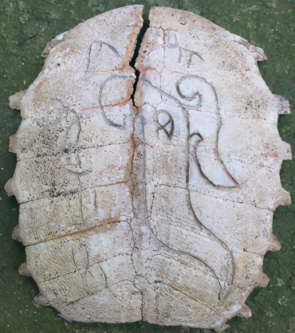 美國邁阿密貝塔分析實驗室碳 十四檢測,古蜀烏木距今4860年 美國邁阿密貝塔分析實驗室碳 十四檢測,古蜀烏木距今4860年