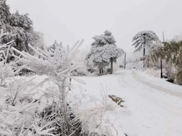 中央會議釋放利好,央行新定調了,外資買入A股創紀錄 中央會議釋放利好,央行新定調了,外資買入A股創紀錄