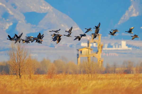 媯川秋韻（一） 精品自駕線路來襲，週末出遊不發愁～