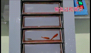 全國特等獎！華水學子在“水利類大學生奧林匹克競賽”中閃閃發光！