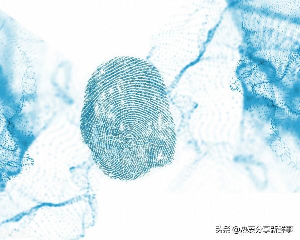 你指紋背後的基因變得更奇怪了