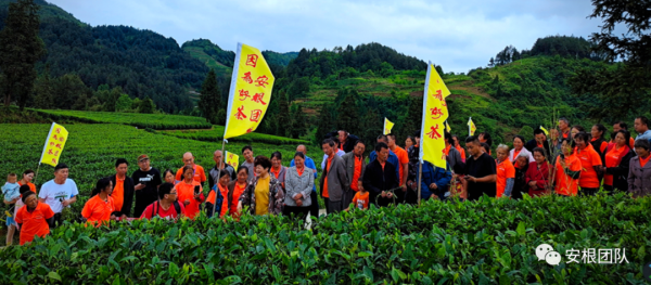 種養迴圈經濟存在的問題和解決措施